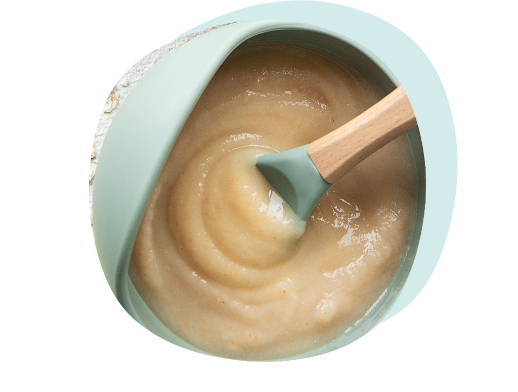 Beef stroganoff puree for babies.